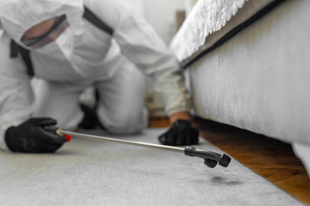 Professional Ant Control technician working in Great River, NY